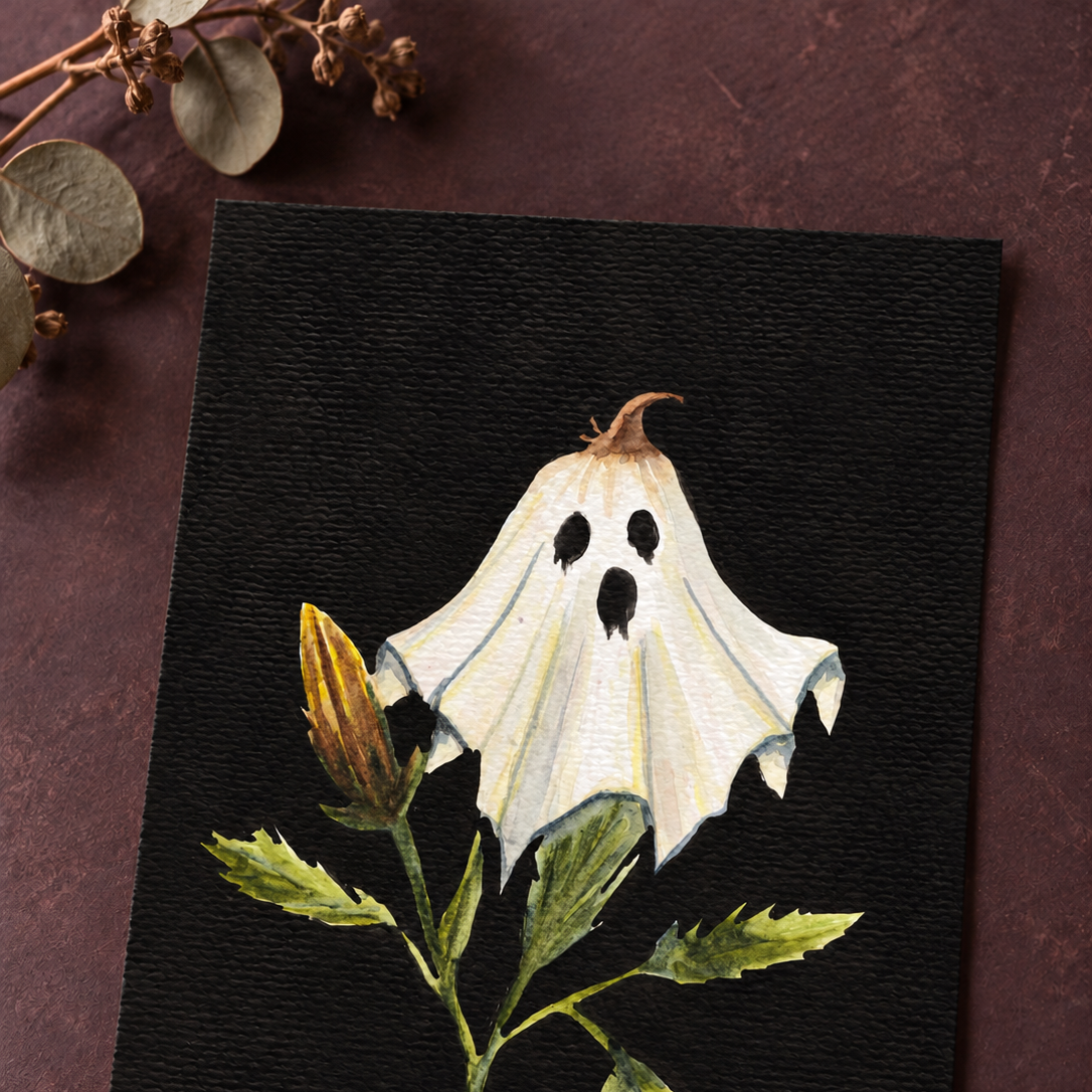 Banksia Boo Fine Art Print