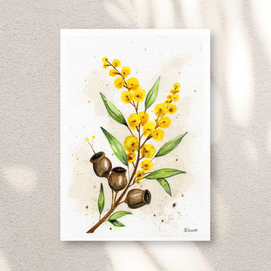Wattle & Gumnuts | Fine-Art Giclée Print