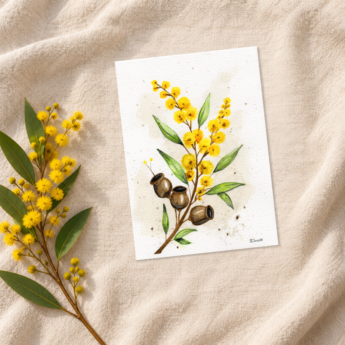 Wattle & Gumnuts | Original Watercolour