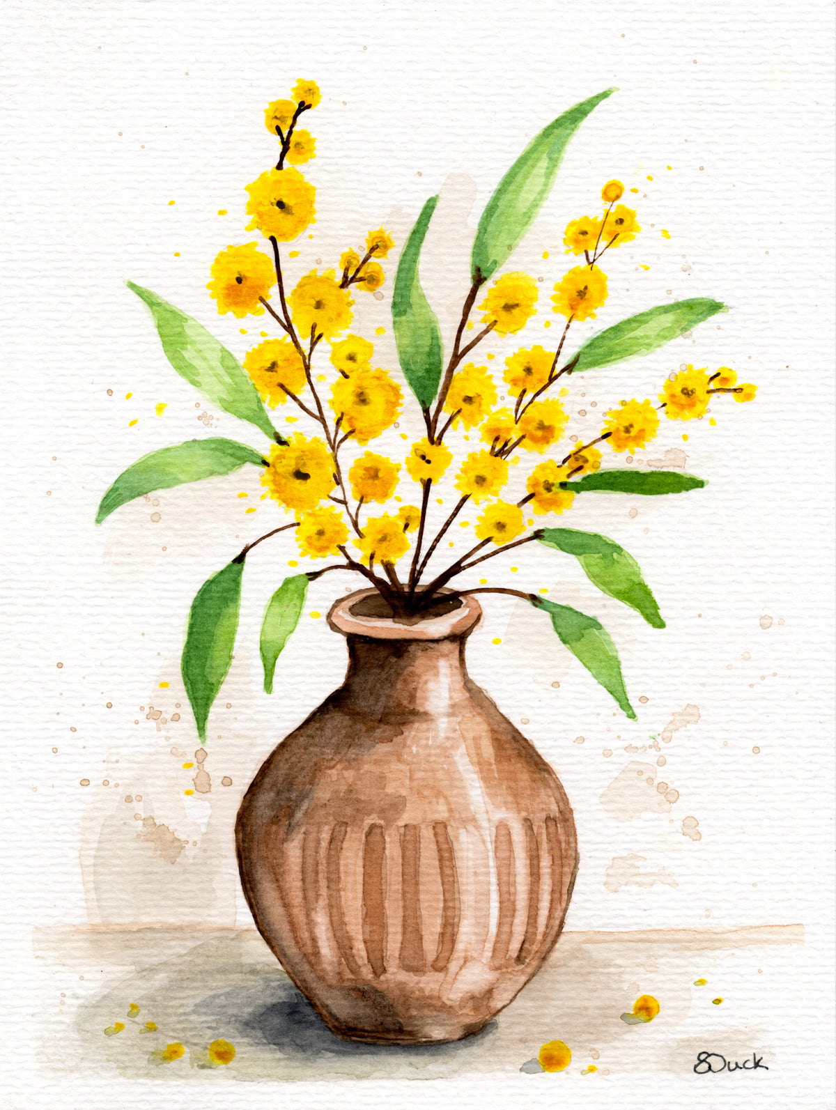Wattle on the Table | Original Watercolour